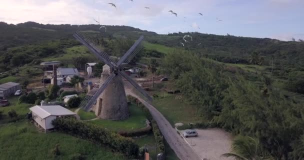 Vista Aérea Morgan Lewis Sugar Mill Natureza Barbados — Vídeo de Stock