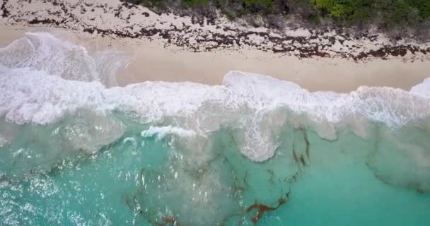 Paysages Colorés Crane Beach Barbade Aerial — Video