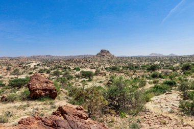 Laas Geel, Somaliland - 10 Kasım 2019 Las Geel Mağaralarından Çevre Vadisi 'ne Panoramik Görünüm