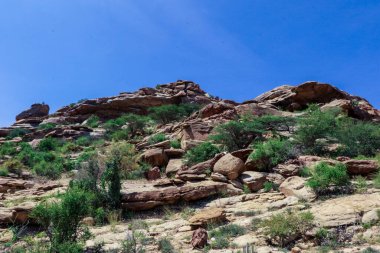 Laas Geel, Somaliland - 10 Kasım 2019 Las Geel Mağaralarından Çevre Vadisi 'ne Panoramik Görünüm
