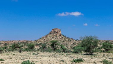 Laas Geel, Somaliland - 10 Kasım 2019 Las Geel Mağaralarından Çevre Vadisi 'ne Panoramik Görünüm