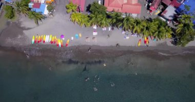 Palmiye ağaçları ve Guadeloupe 'da tatil yapan turistlerle dolu bir sahil.