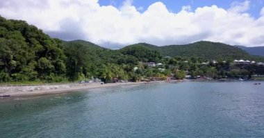Palmiye ağaçları ve Guadeloupe 'da tatil yapan turistlerle dolu bir sahil.
