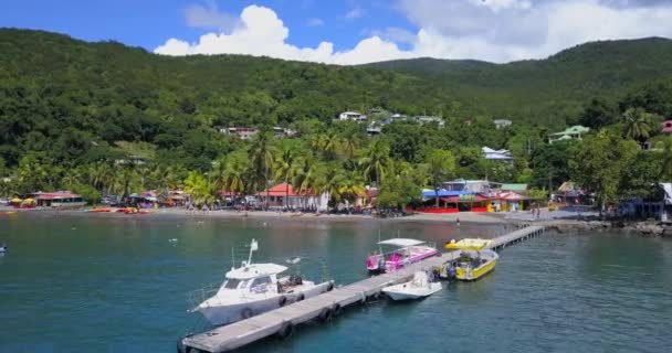 Uma Praia Com Palmeiras Turistas Férias Guadalupe — Vídeo de Stock