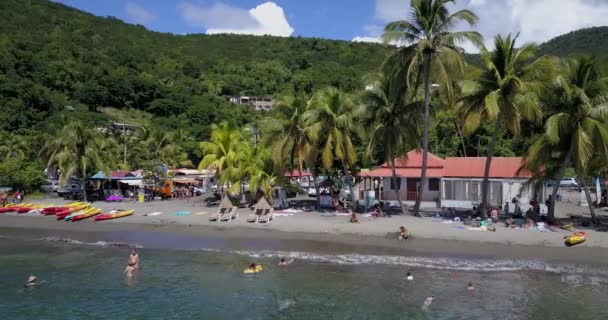 Ein Strand Mit Palmen Und Urlauber Guadeloupe — Stockvideo