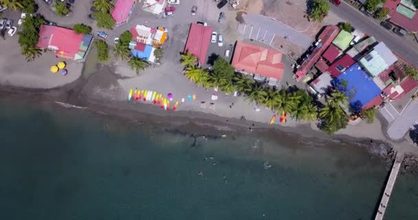 Plaża Palmami Turyści Wakacje Gwadelupie — Wideo stockowe