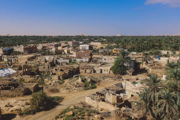 Panoráma Kilátás Oázisra Siwa Zöld Pálma Fák Körül Egyiptom — Stock Fotó