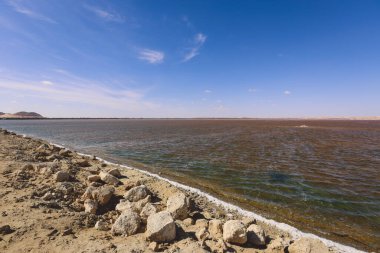 Siwa Oasis, Mısır 'da Renkli ve Parlak Hatıra Pazarı