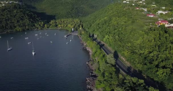 Flygfoto Över Green Lagoon Guadeloupe — Stockvideo