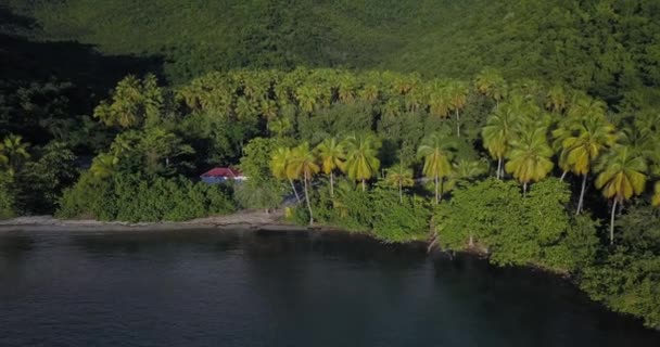Flygfoto Över Green Lagoon Guadeloupe — Stockvideo