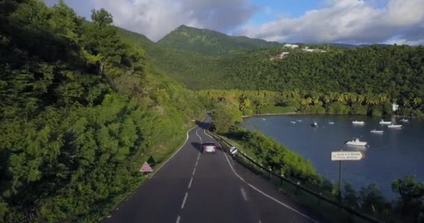 Droga Przejeżdżających Samochodów Tropikalnej Gwadelupie — Wideo stockowe