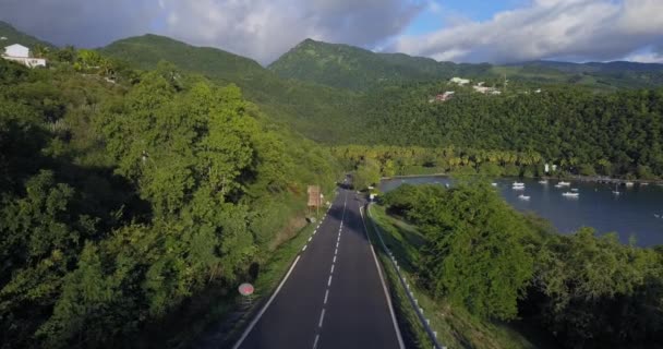 Straße Mit Vorbeifahrenden Autos Tropischen Guadeloupe — Stockvideo