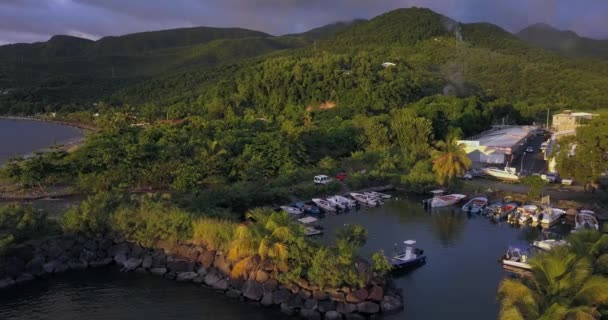 Paysages Île Guadeloupe Coucher Soleil — Video