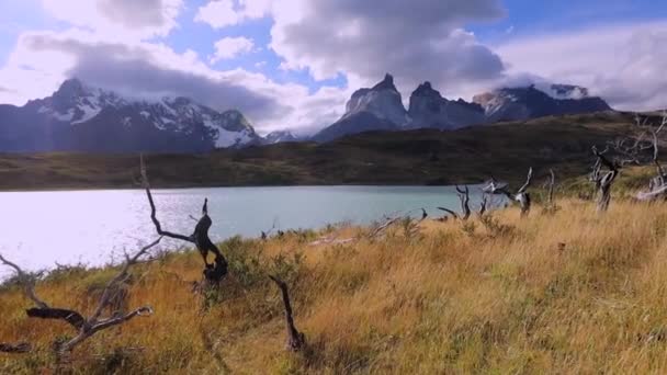 Torres Del Paine Nationaalpark Chili — Stockvideo