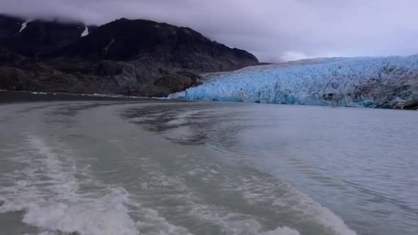 Glaciar Grey Patagonia Paisajes Chile — Vídeo de stock