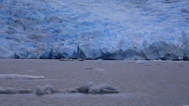 Γκρι Παγετώνας Στην Παταγονία Τοπία Της Χιλής — Αρχείο Βίντεο