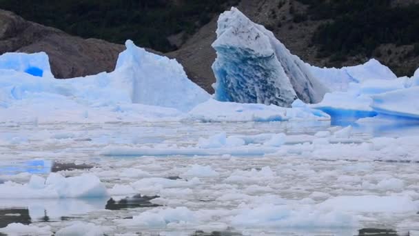 Γκρι Παγετώνας Στην Παταγονία Τοπία Της Χιλής — Αρχείο Βίντεο