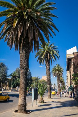 Asmara, Eritre - 02 Kasım 2019: Asmara Merkez Caddesi 'ndeki Yerel Halkın Günlük Yaşamı
