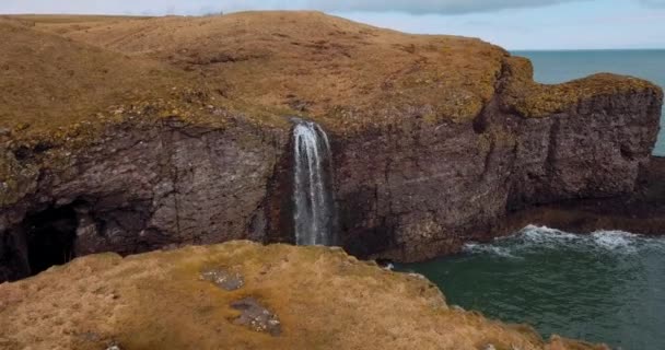 Veduta Aerea Della Scozia Fowlsheugh Paesaggi Naturali — Video Stock