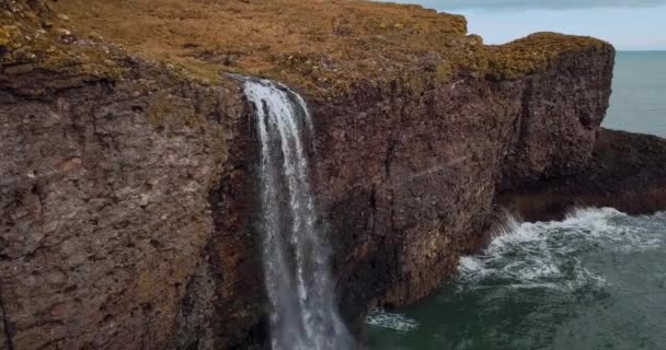 Vista Aérea Escocia Fowlsheugh Paisajes Naturales — Vídeos de Stock