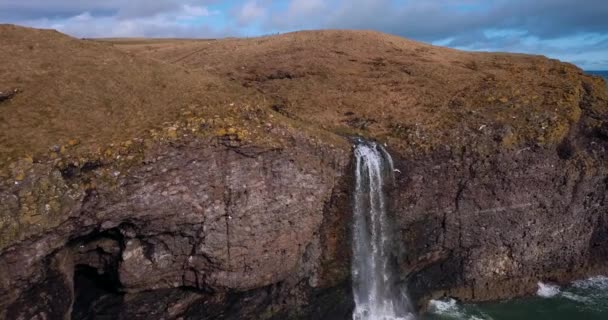 Légi Kilátás Skócia Fowlsheugh Természeti Tájak — Stock videók