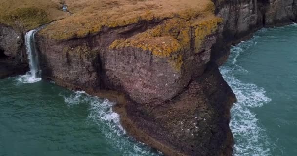 Letecký Pohled Skotsko Fowlsheugh Přírodní Krajiny — Stock video