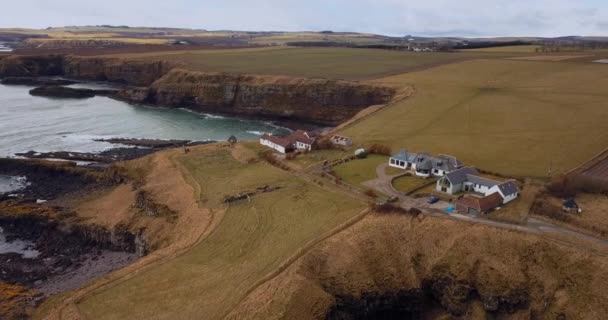 Vista Aérea Escocia Fowlsheugh Paisajes Naturales — Vídeo de stock