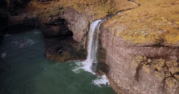 Letecký Pohled Skotsko Fowlsheugh Přírodní Krajiny — Stock video