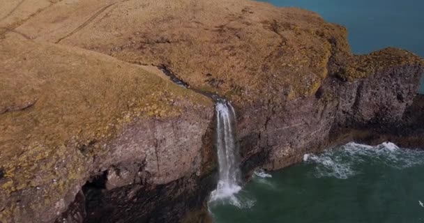 Vista Aérea Escocia Fowlsheugh Paisajes Naturales — Vídeos de Stock