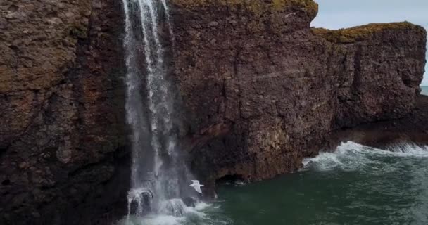 Вид Воздуха Шотландию Fowlsheugh Природные Пейзажи — стоковое видео
