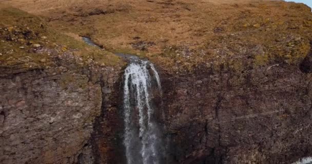 Veduta Aerea Della Scozia Fowlsheugh Paesaggi Naturali — Video Stock