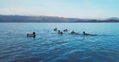 Lomond Gölü 'nün havadan görünüşü, Doğa İskoçya