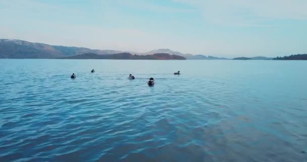 Vista Aérea Loch Lomond Naturaleza Escocia — Vídeo de stock