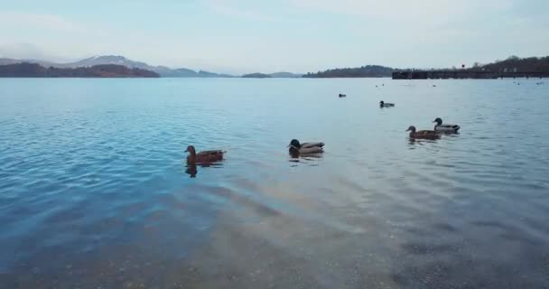 Letecký Pohled Loch Lomond Nature Scotland — Stock video