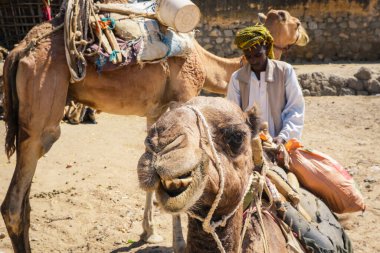 Keren, Eritre - 03 Kasım 2019: Hayvan Pazarı 'nda Geleneksel Eritre Elbisesi Deve Satıcısı 
