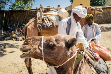 Keren, Eritre - 03 Kasım 2019: Hayvan Pazarı 'nda Geleneksel Eritre Elbisesi Deve Satıcısı 