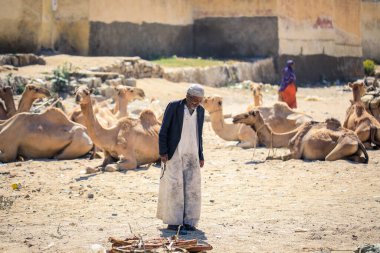 Keren, Eritre - 03 Kasım 2019: Keren Deve Pazarında Geleneksel Beyaz Giysili Eritre Adamı