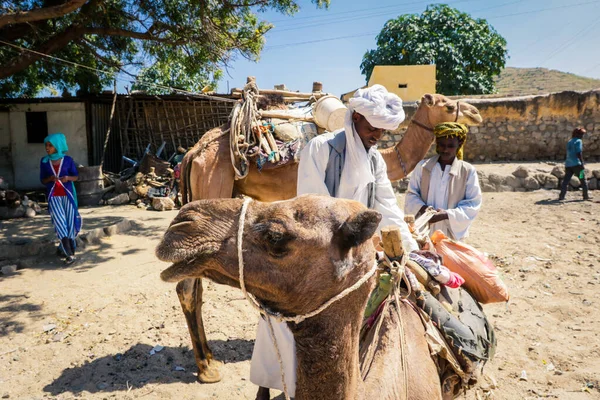 Keren Eritrea Listopadu 2019 Prodavač Velbloudů Tradičních Eritrejských Šatech Trhu — Stock fotografie