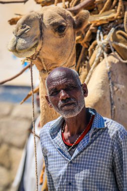 Keren, Eritre - 03 Kasım 2019: Keren Hayvan Pazarı 'nda kamış paketiyle Deve' nin yanındaki yaşlı adam