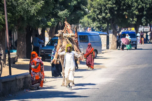 Keren Eritrea November 2019 Old Local Man Camel Pack Straw — стокове фото