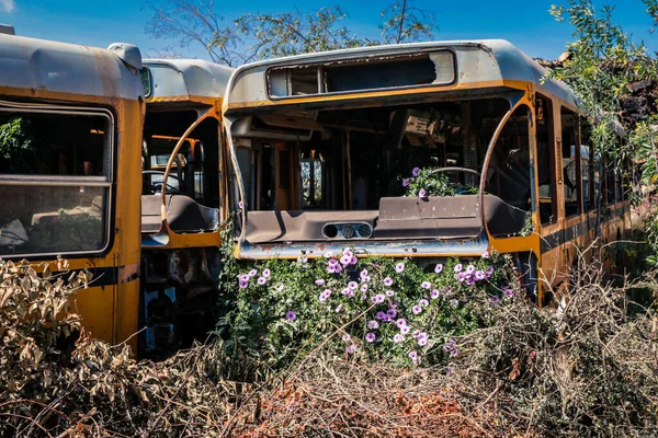 Σκουριασμένα Και Θρυμματισμένα Λεωφορεία Στο Νεκροταφείο Δεξαμενών Στην Ασμάρα Της — Φωτογραφία Αρχείου