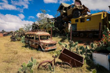 Asmara, Eritre 'deki Tank Mezarlığı' nda Yeşil Kaktüslü Ezilmiş Arabalar