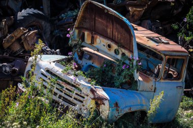 Asmara, Eritre 'deki Tank Mezarlığında Terk Edilmiş Ordu Tankları