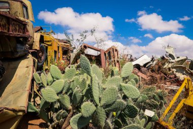 Asmara, Eritre 'deki Tank Mezarlığında Terk Edilmiş Ordu Tankları