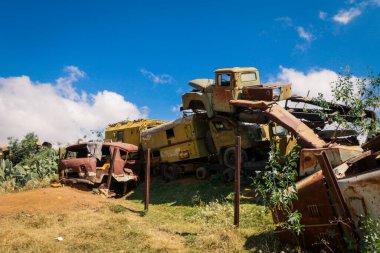 Asmara, Eritre 'deki Tank Mezarlığında Terk Edilmiş Ordu Tankları