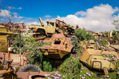 Asmara, Eritre 'deki Tank Mezarlığında Terk Edilmiş Ordu Tankları