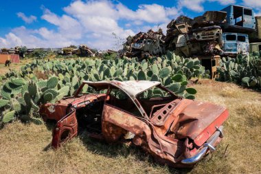 Asmara, Eritre 'deki Tank Mezarlığı' nda Yeşil Kaktüsler