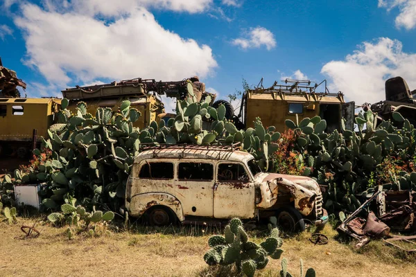 Asmara, Eritre 'deki Tank Mezarlığı' nda Yeşil Kaktüslü Ezilmiş Arabalar