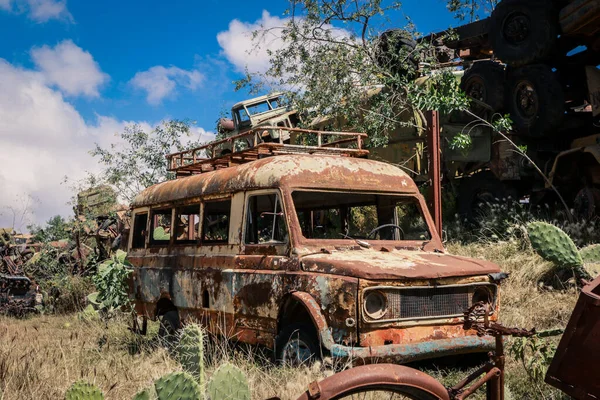 Asmara, Eritre 'deki Tank Mezarlığı' nda Yeşil Kaktüslü Ezilmiş Arabalar