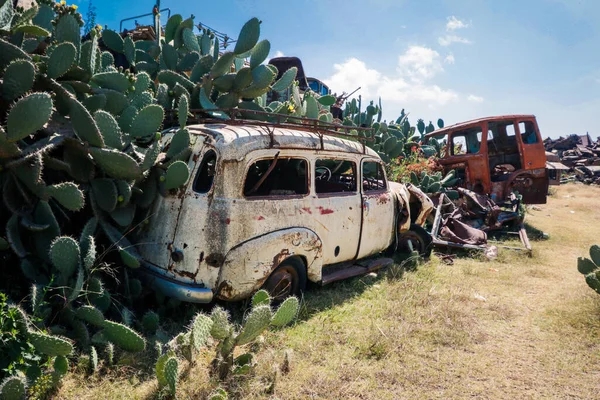 Asmara, Eritre 'deki Tank Mezarlığı' nda Yeşil Kaktüslü Ezilmiş Arabalar